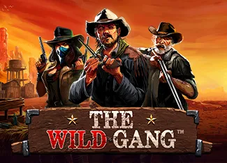 The Wild Gang - HASEAGAMING